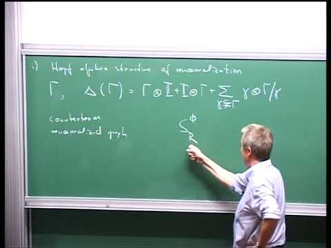 Quantum Fields and Dyson-Schwinger Equations: Aspects of Locality