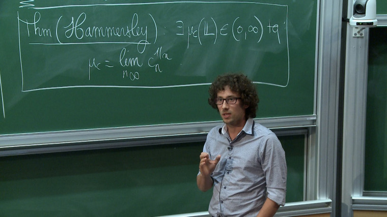 La marche aléatoire auto-évitante