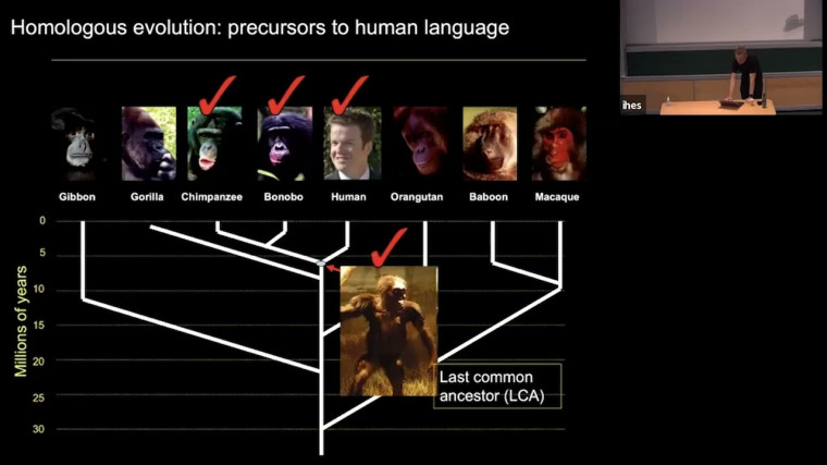 Language Origins: an Animal Communication Perspective