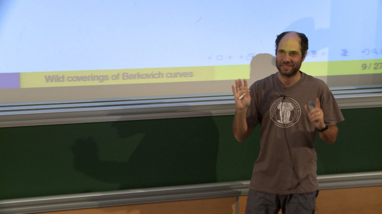 Wild coverings of Berkovich curves