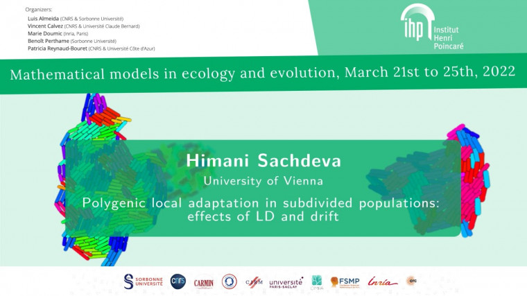 Polygenic local adaptation in sub-divided populations: effects of linkage disequilibria and genetic drift