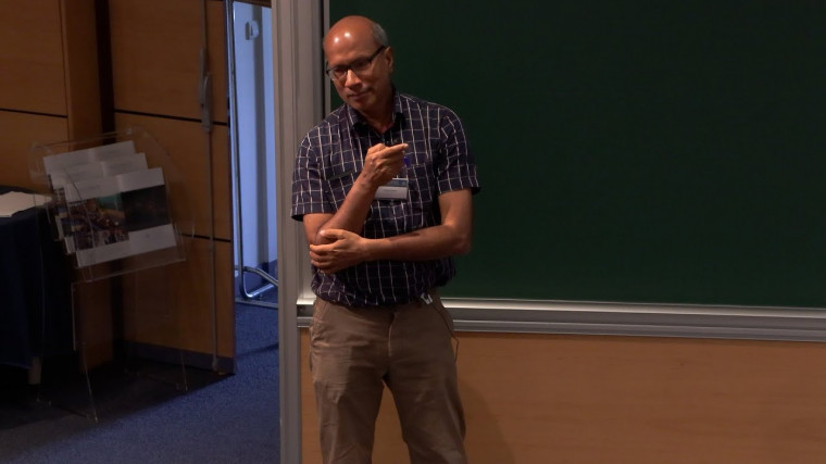 Branching laws: homological aspects