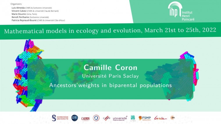 Ancestors' genetic weights in biparental populations