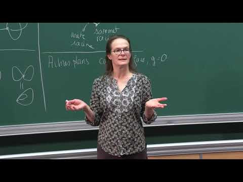 Dénombrement de cartes : entre combinatoire, probabilités et physique théorique