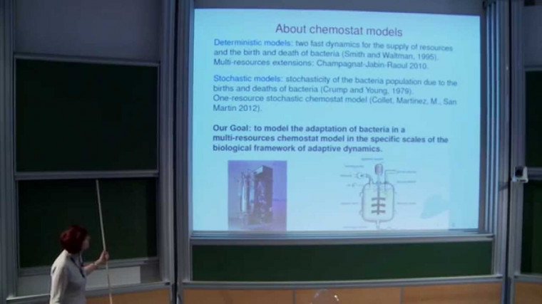 Stochastic modeling of Darwinian evolution in a chemostat