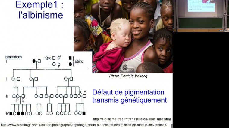 Les Sept Filles d’Eve