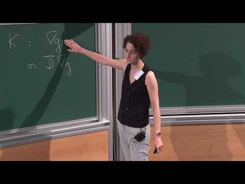 Mean-Field Limits for Singular Flows