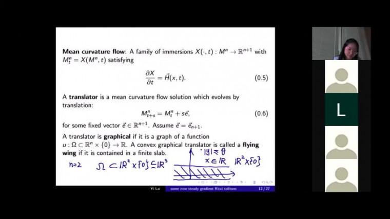 A family of 3d steady gradient Ricci solitons that are flying wings