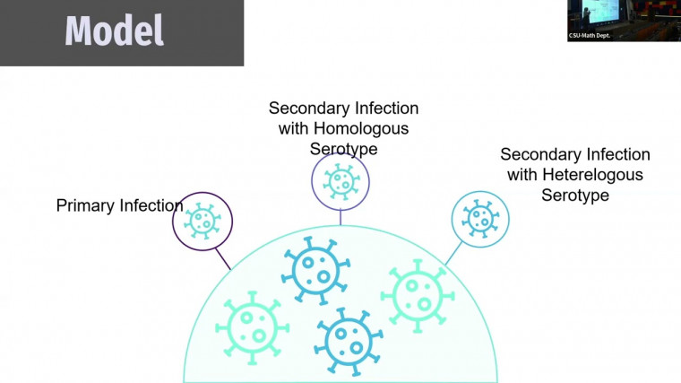 Mathematical Modelling of Dengue Disease Transmission (3/3)