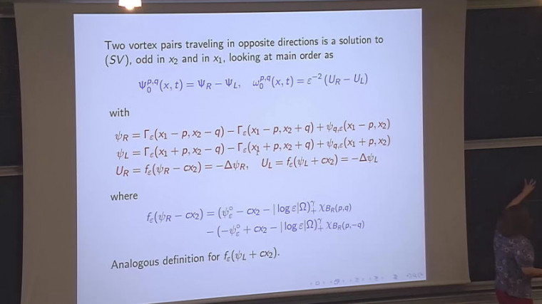 Long time behavior for vortex dynamics in the 2 dimensional Euler equations