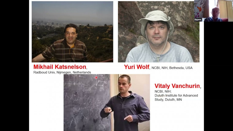 Evolution of complexity