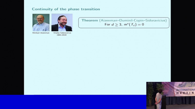 Critical phenomena through the lens of the Ising model