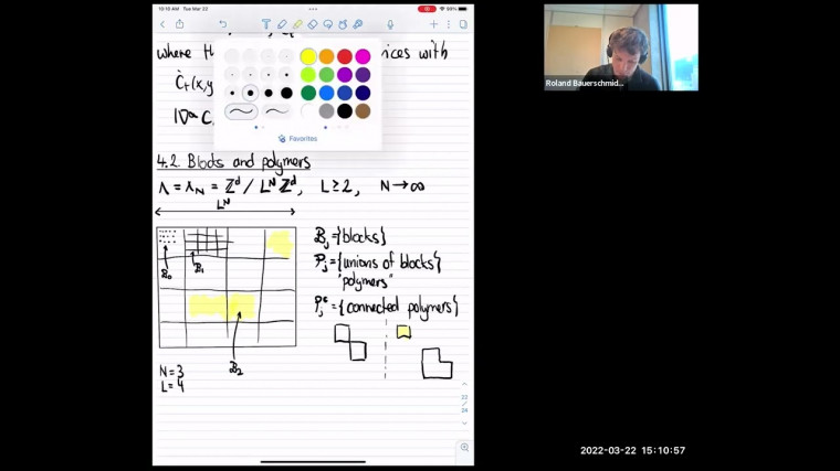The Renormalisation Group - a Mathematical Perspective (3/4)