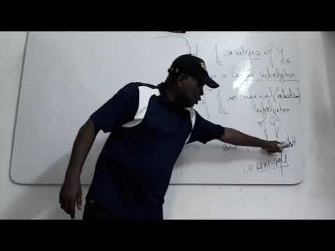 "Lie Groups and Lie Algebras" (part 3/3)