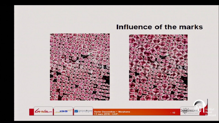 Multiple objects detection in biological images using a Marked Point Process Framework