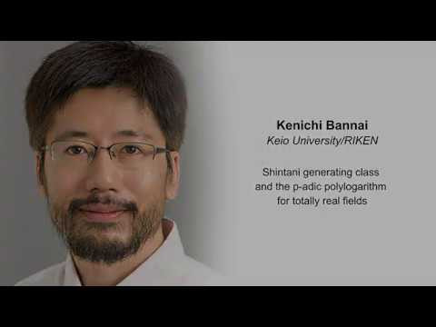 Shintani generating class and the p-adic polylogarithm for totally real fields