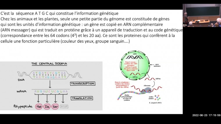 Ciseaux moléculaires : une révolution biologique