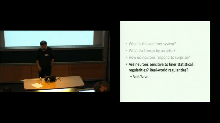 The representation of surprise in auditory cortex