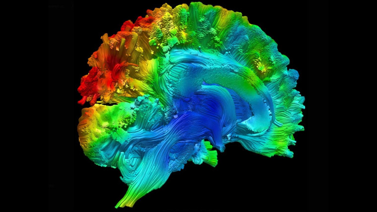 Faire des maths ou comment développer son intuition et son attention