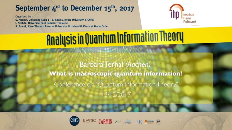 What is macroscopic quantum information?