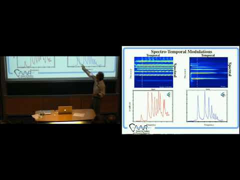 Mathematical models of auditory cortical processing