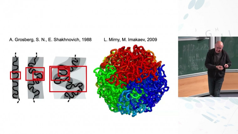 Polymer Topology Meets Fractal Dimension