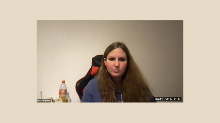 Landau-Ginzburg potentials via projective representations