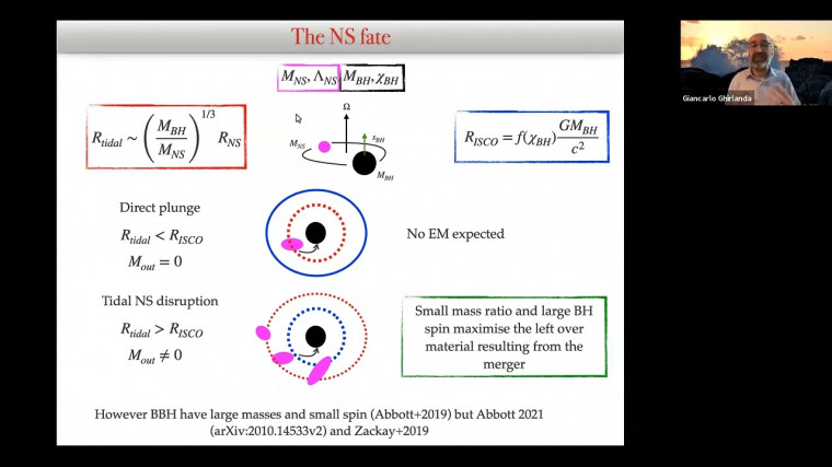 Expected properties of electromagnetic counterparts of BHNS mergers