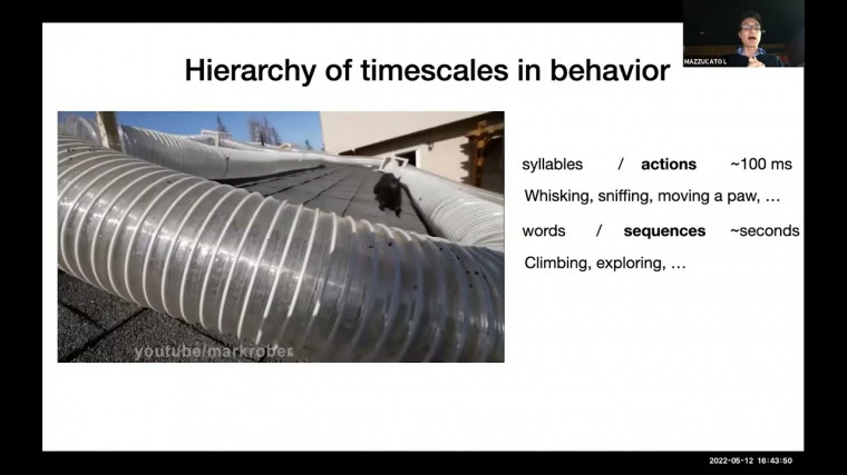 Computational Principles Underlying the Temporal Organization of Behavior