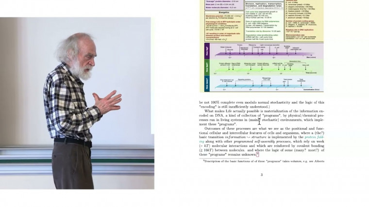 Mathematical Description of Biological Structures (2/4)