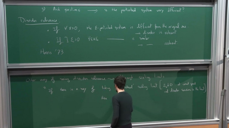 Scaling Limits of Disordered Systems