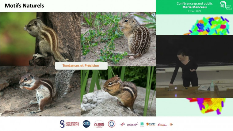 Formation et évolution des motifs cutanés chez les oiseaux