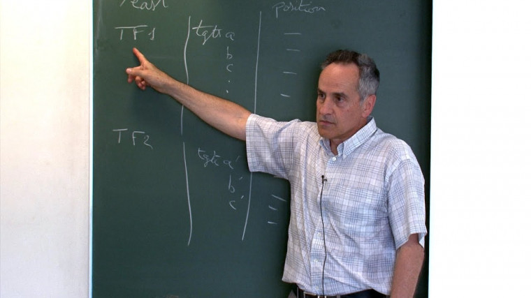 Formation of hypotheses in the field of molecular biology : The case study of the solenoidal framework for the control of gene expression