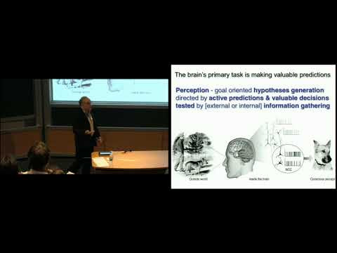 Predictive information and the emergence of cognitive hierarchies