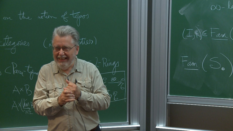 New variations on the notion of topos