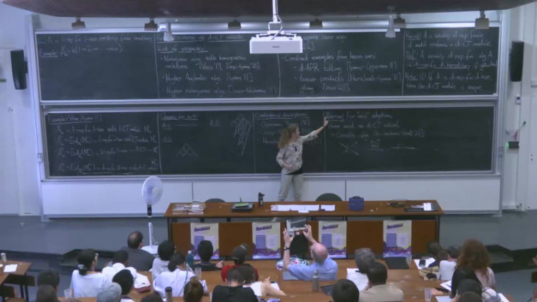 Higher homological algebra 3