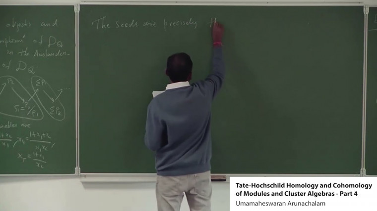 Tate-Hochschild Homology and Cohomology of Modules and Cluster Algebras (4/4)