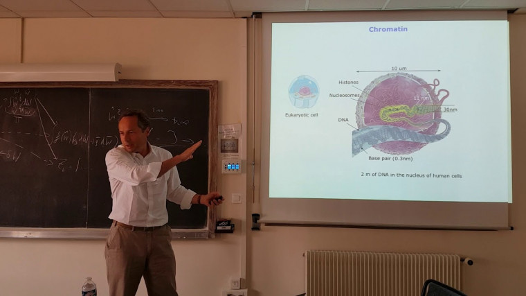 Transgenerational Epigenetics: of plants and men
