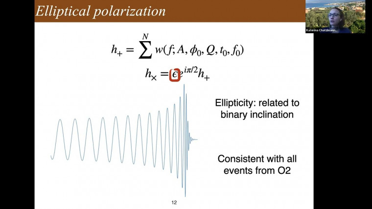 Flexible analysis of gravitational wave data: signal polarization and detector glitches
