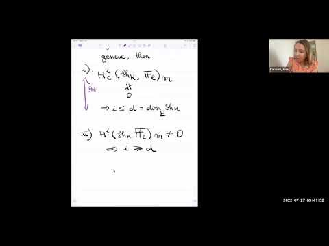 Shimura Varieties and Modularity (3/3)