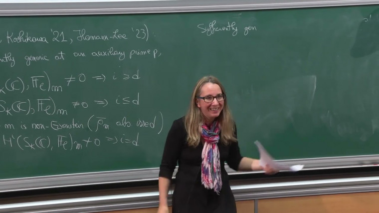 On the cohomology of Shimura varieties with torsion coefficients