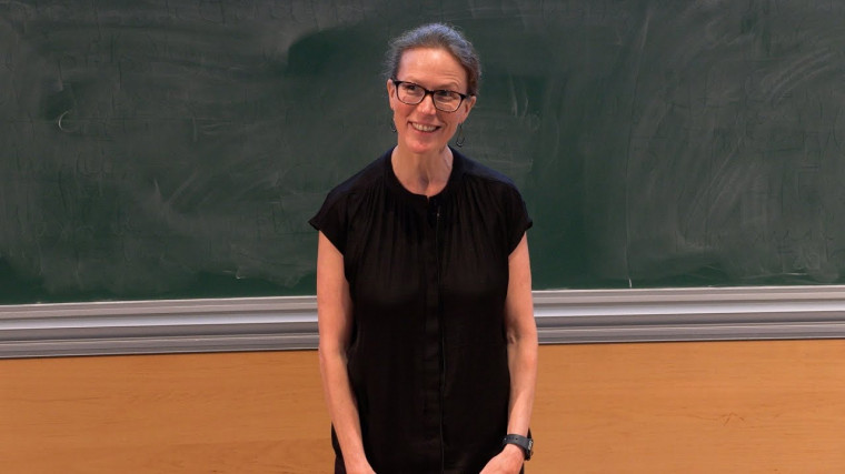 Elliptic surfaces, Equidistribution, and Bifurcations